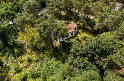 Demeure historique à vendre Konstancin-Jeziorna, Mazovie, Image 6/9