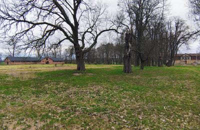 Manoir à vendre Raszków, Sainte-Croix, Image 2/16