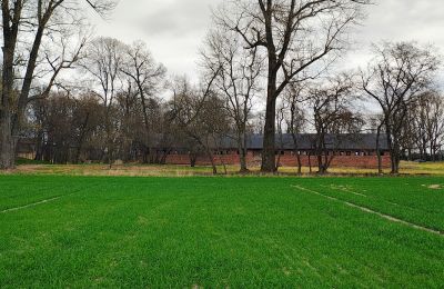 Manoir à vendre Raszków, Sainte-Croix, Image 8/16