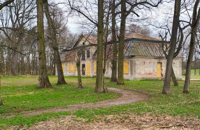 Manoir à vendre Raszków, Sainte-Croix, Image 10/16