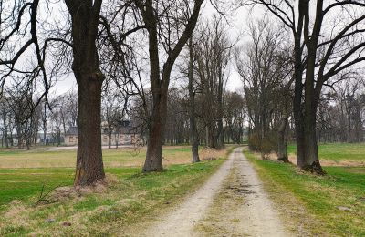 Manoir à vendre Raszków, Sainte-Croix, Image 15/16