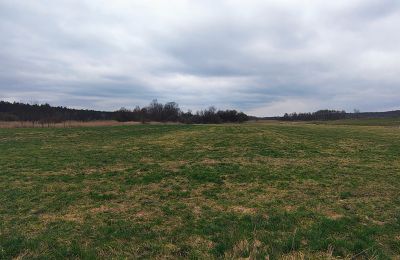 Manoir à vendre Raszków, Sainte-Croix, Image 16/16