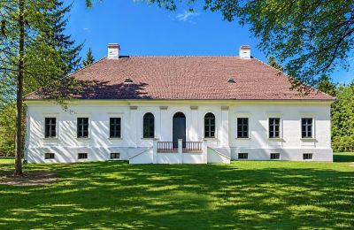 Manoir à vendre Tömörd, Fő utca 11, Comitat de Vas, Vue frontale