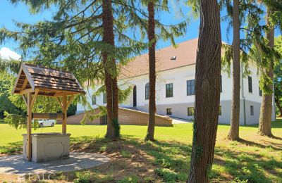 Manoir à vendre Tömörd, Fő utca 11, Comitat de Vas, Image 5/21