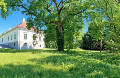 Manoir à vendre Tömörd, Fő utca 11, Comitat de Vas, Parc