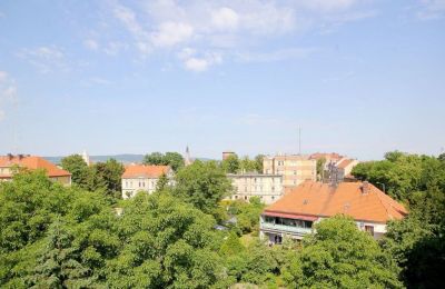 Château à vendre Jawor, Armii Krajowej 7, Basse-Silésie, Image 15/20