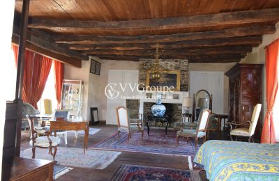 Château médiéval à vendre Nouvelle-Aquitaine, Image 9/13
