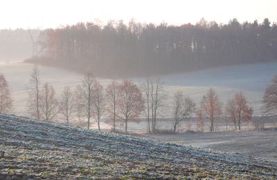 Landelijk pand te koop Sławnikowice, Neder-Silezië, Foto 50/51