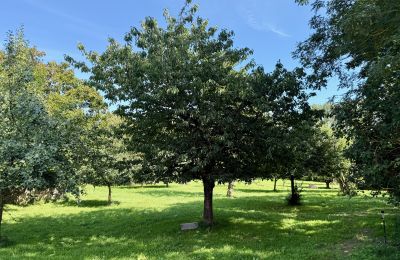 Landhuis te koop Brandenburg, Obstbaumgarten
