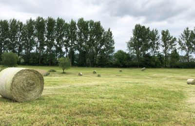 Landhuis te koop Brandenburg, Koppel