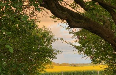 Landhuis te koop Brandenburg, Blick auf Koppel - Weitblick