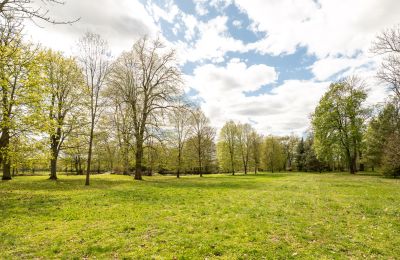 Manoir à vendre Strzegocin, Mazovie, Image 20/42