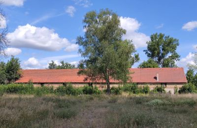 Manoir à vendre 66-300 Bobowicko, Lubusz, Image 11/14