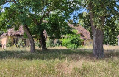 Manoir à vendre 66-300 Bobowicko, Lubusz, Image 12/14