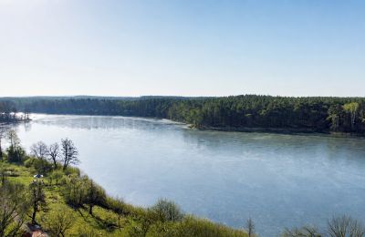Manoir à vendre 66-300 Bobowicko, Lubusz, Image 6/14