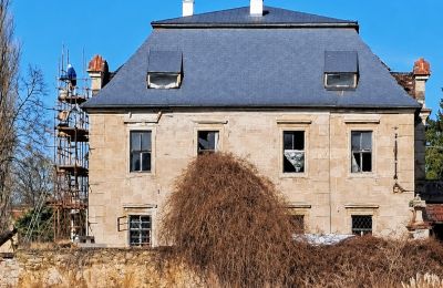 Château à vendre Ronov nad Doubravou, Moravany  1, okres Chrudim, Image 1/17