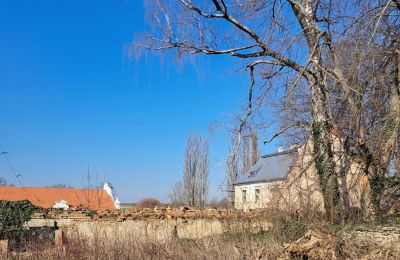 Château à vendre Ronov nad Doubravou, Moravany  1, okres Chrudim, Image 16/17