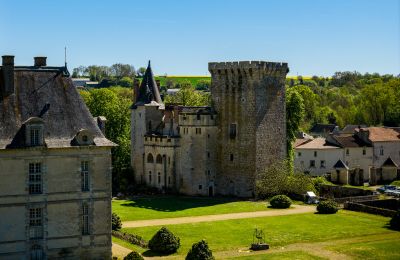 Kasteel te koop Nouvelle-Aquitaine, Foto 5/17