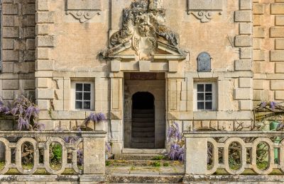 Kasteel te koop Nouvelle-Aquitaine, Foto 7/17