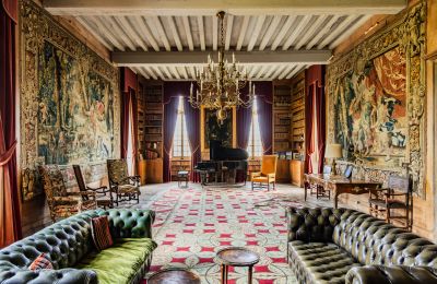 Kasteel te koop Nouvelle-Aquitaine, Foto 8/17
