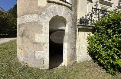 Château te koop La Roche-Posay, Nouvelle-Aquitaine, Foto 41/41