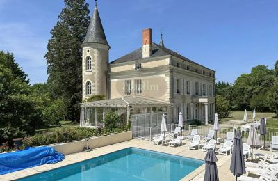 Château te koop La Roche-Posay, Nouvelle-Aquitaine, Foto 5/41