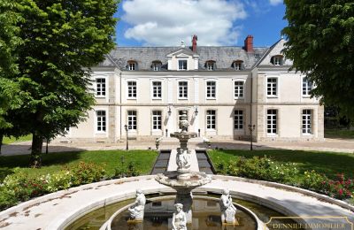 Château à vendre Provins, Île-de-France, Image 1/19