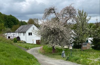 Historisch huis te koop 07907 Schleiz, Thüringen, Toegang