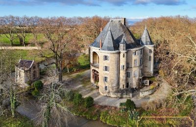 Middeleeuws kasteel te koop Valence, Auvergne-Rhône-Alpes, Foto 1/28
