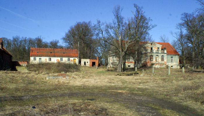 Rogów Wołowski 4