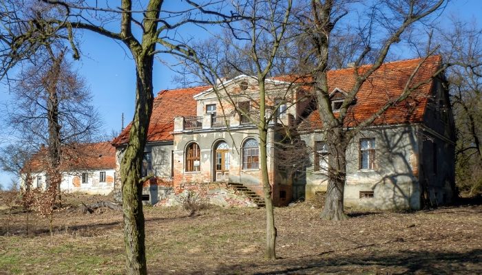  Rogów Wołowski 1