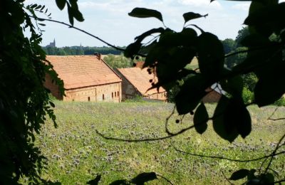 Landhuis te koop Rogów Wołowski, Neder-Silezië, Foto 6/25