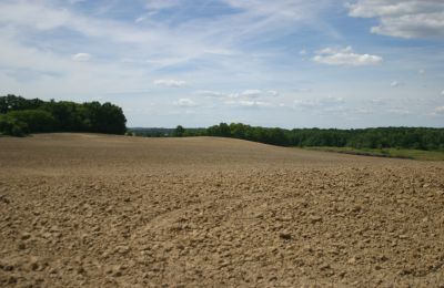 Landhuis te koop Rogów Wołowski, Neder-Silezië, Foto 18/25