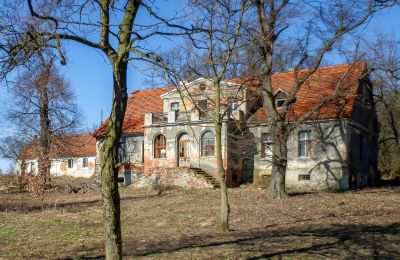 Landhuis te koop Rogów Wołowski, Neder-Silezië, Foto 1/25