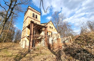 Demeure historique à vendre Staniszów, Basse-Silésie, Image 5/26