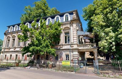 Landhuis te koop Elsteraue, Bornitzer Weg 01, Saksen-Anhalt, Ein-Herrenhaus-mit-Seele-Geschichte-Charakter-und-auergewohnliche-Perspektiven (10)