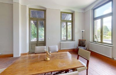 Landhuis te koop Elsteraue, Bornitzer Weg 01, Saksen-Anhalt, Ein-Herrenhaus-mit-Seele-Geschichte-Charakter-und-auergewohnliche-Perspektiven (34)