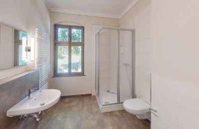 Landhuis te koop Elsteraue, Bornitzer Weg 01, Saksen-Anhalt, Ein-Herrenhaus-mit-Seele-Geschichte-Charakter-und-auergewohnliche-Perspektiven (19)
