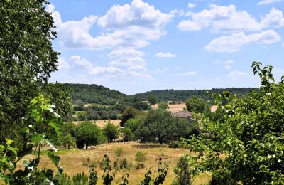 Maison de campagne à vendre Uzès, Occitanie, Image 18/38