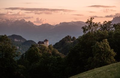 Château à vendre 6845 Hohenems, Vorarlberg, Image 4/20