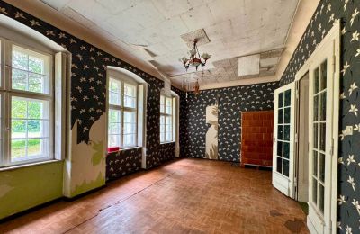 Manoir à vendre Tarchalin, Grande-Pologne, Image 16/24