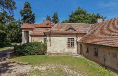 Manoir à vendre Tarchalin, Grande-Pologne, Image 8/24