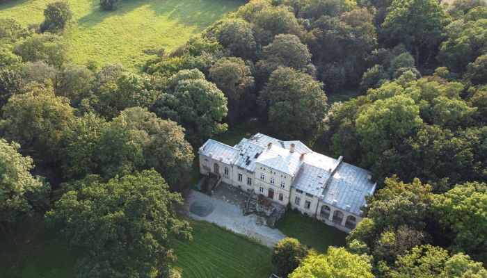 Demeure avec parc dans un environnement isolé entre Berlin et Poznań