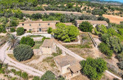 Propriété historique à vendre Porreres, Îles Baléares, Vue générale