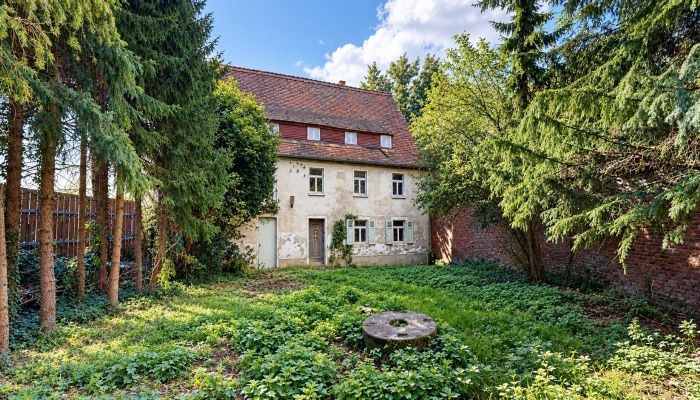 Historisch huis te koop 06686 Lützen, Saksen-Anhalt