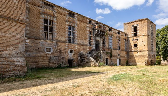 Kasteel te koop Nouvelle-Aquitaine