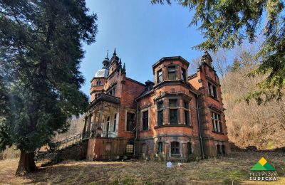 Historische villa te koop Nowa Ruda, Piłsudskiego 20, Neder-Silezië, Foto 2/20