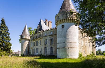 Château à vendre Bourges, Centre-Val de Loire, Image 3/16