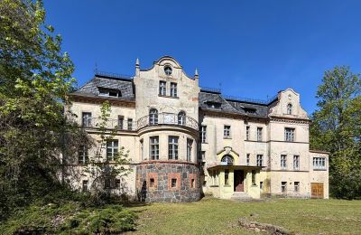 Kasteel te koop Bronów, Bronów 20, Neder-Silezië, Vooraanzicht