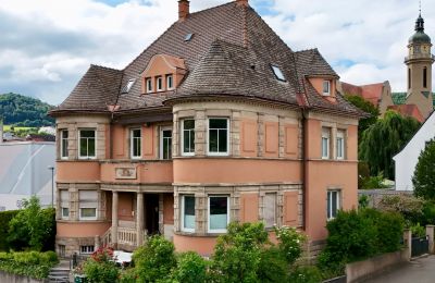 Demeure historique à vendre Ebingen, Bade-Wurtemberg, Vue latérale